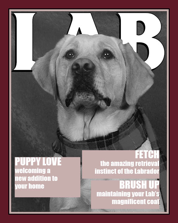Lesson 5 Design Project